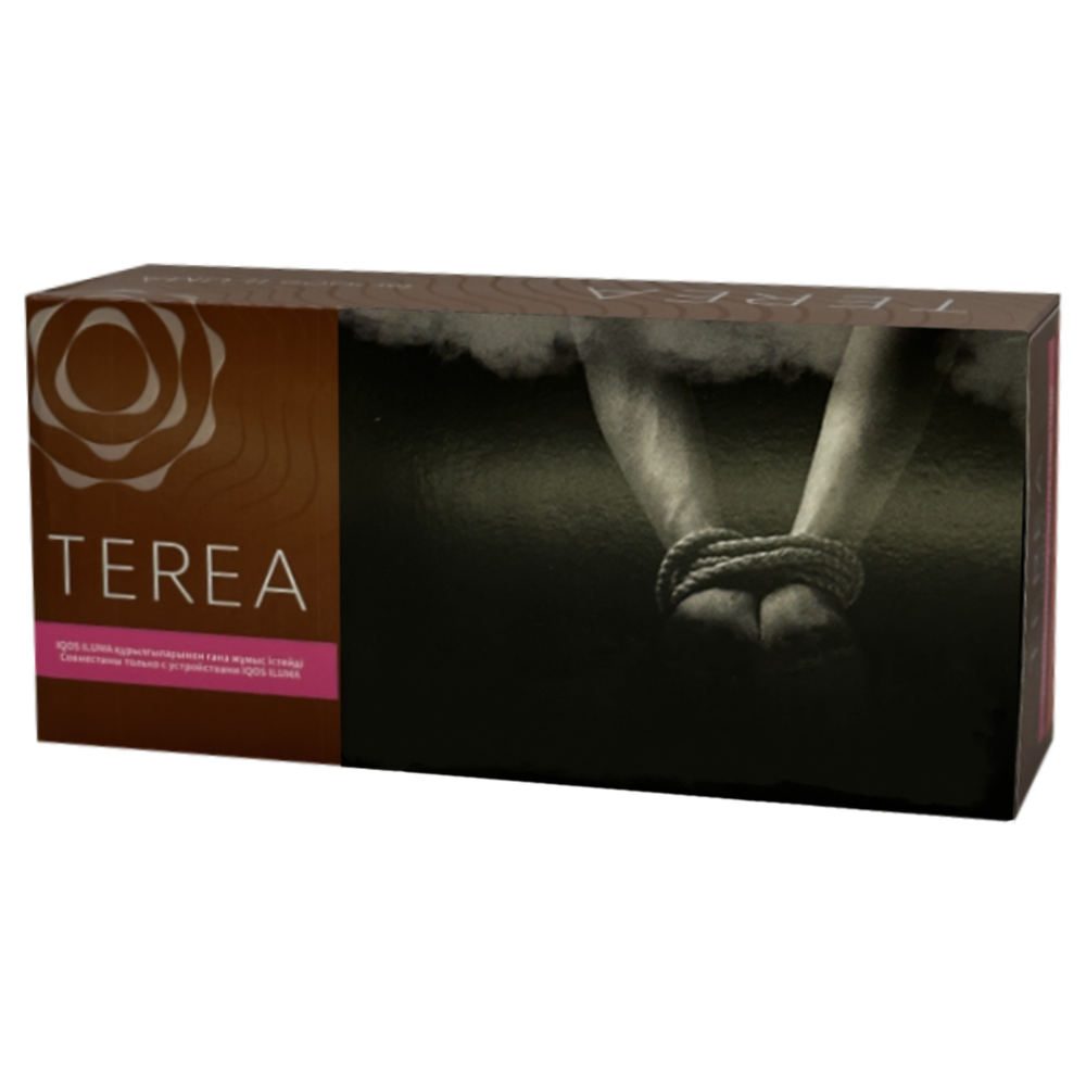 Terea Bronze KZ